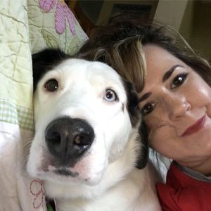 Meet your Posher, Connie